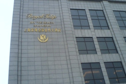 滨海皇家金煦大酒店主图