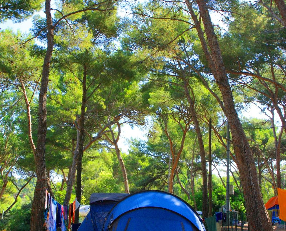 Camping OLBIA