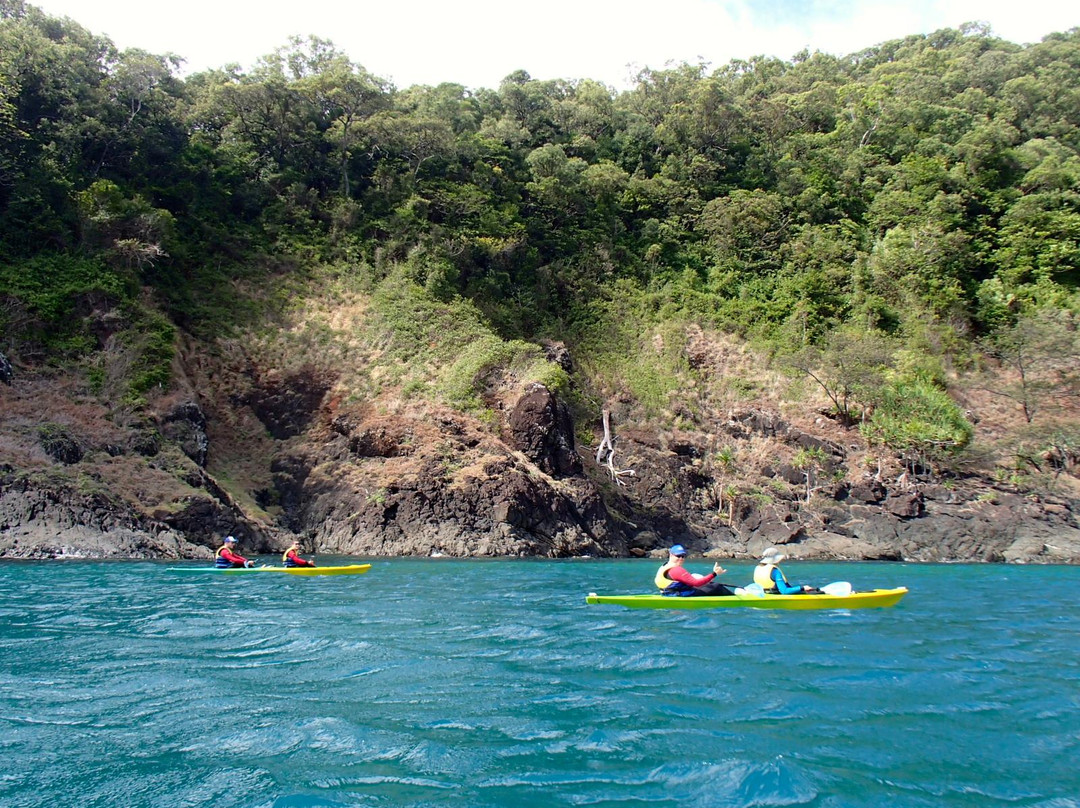 Tropical Sea Kayaks-Cow Bay必去景点