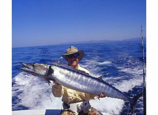 Kingfisher Sportfishing景点图片