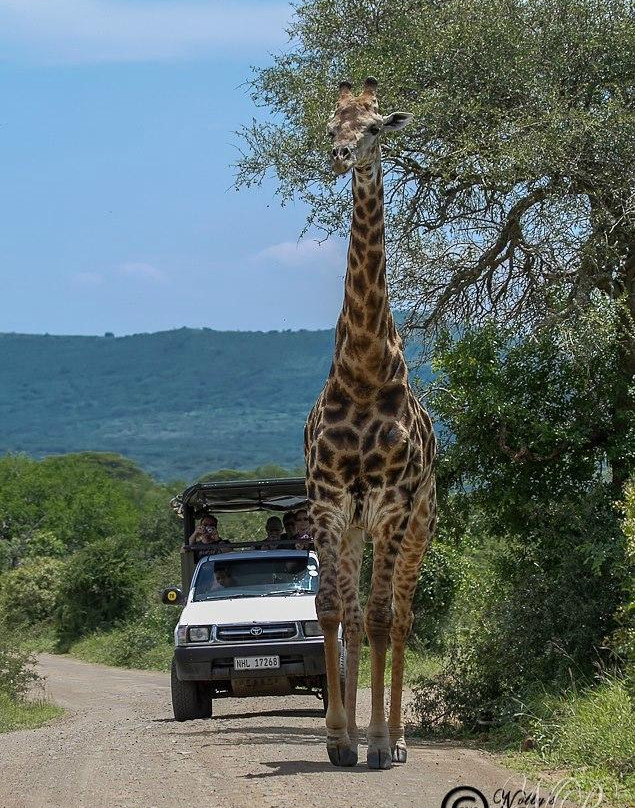 Heritage Tours & Safaris-圣露西亚必去景点