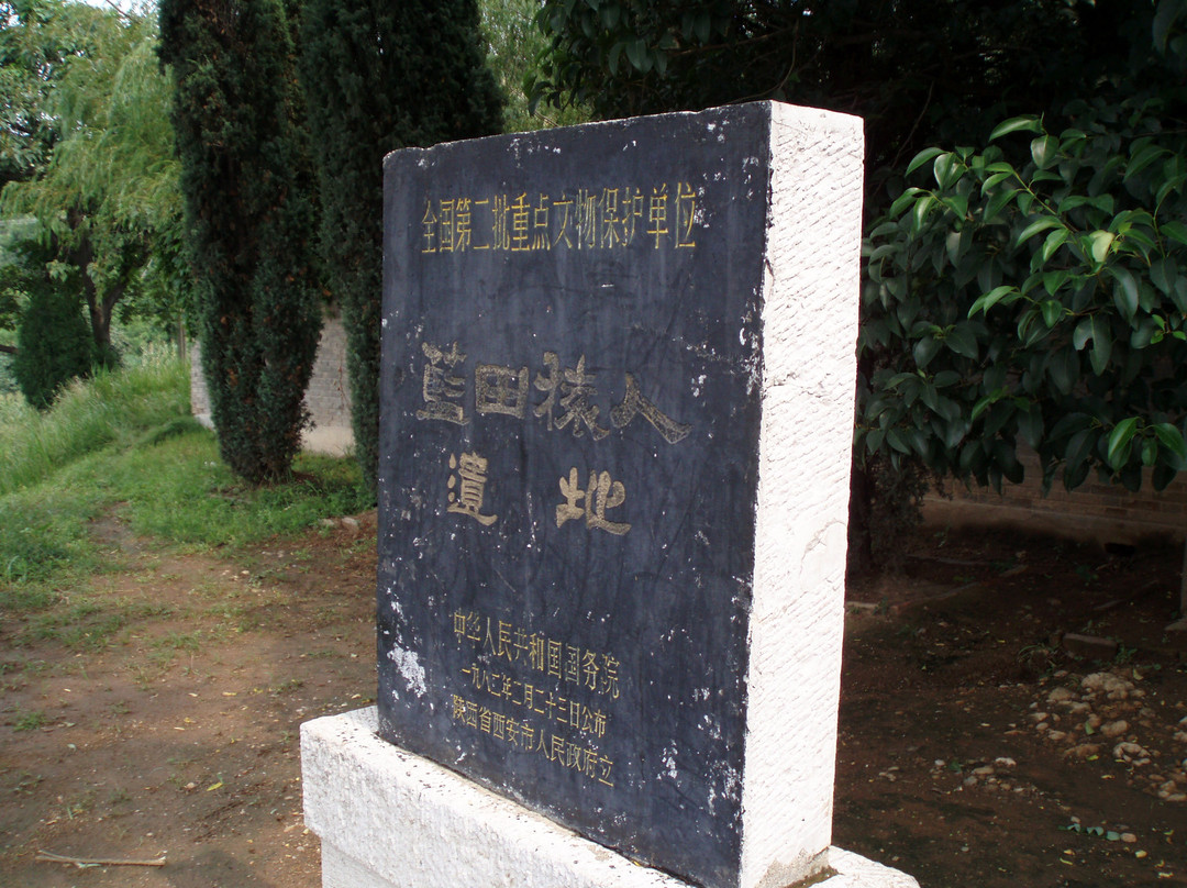 蓝田猿人遗址纪念馆景点图片