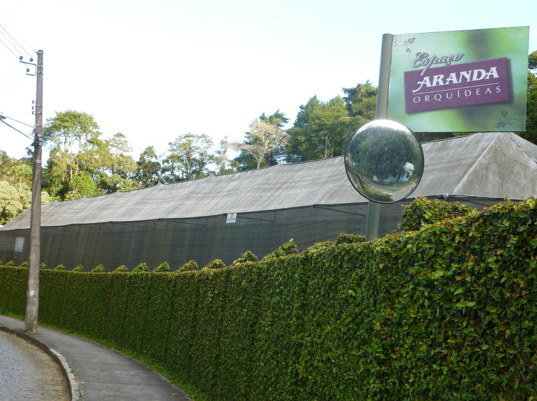 Arabotânica-特雷索波利斯必去景点