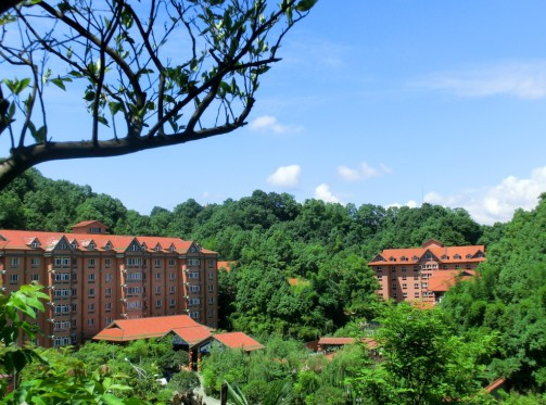 华龙村大酒店主图