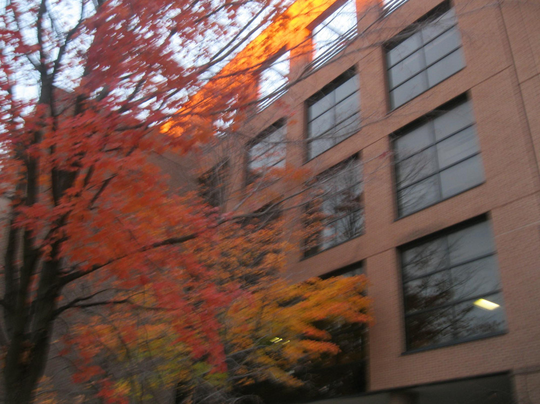 University of Michigan Flint-弗林特必去景点