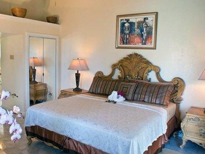 Birds Eye View主图