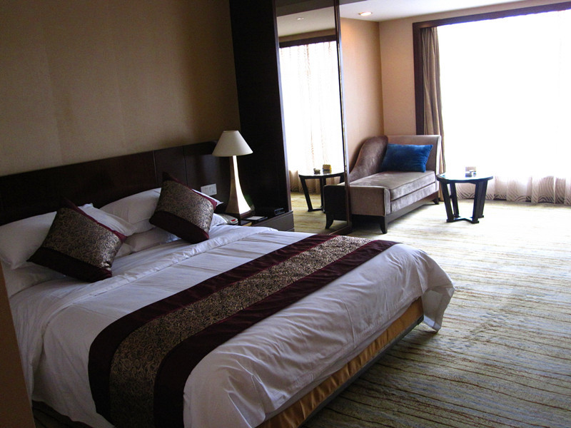 芜湖新百金陵大酒店主图