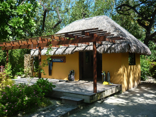 Tahaa Diving-塔哈岛必去景点