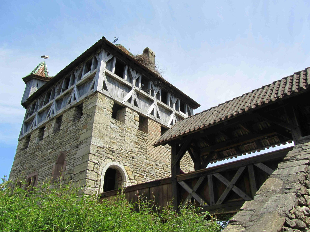 Ecomusée d'Alsace景点图片
