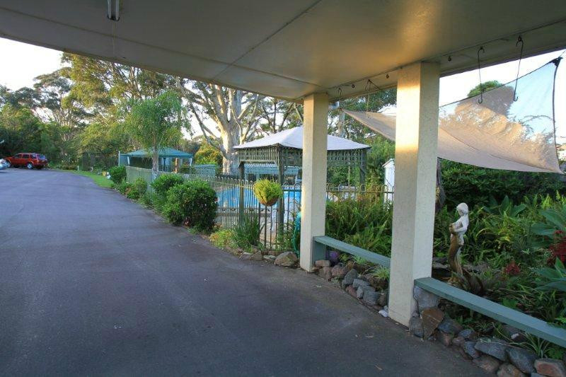 The Tree Motel主图