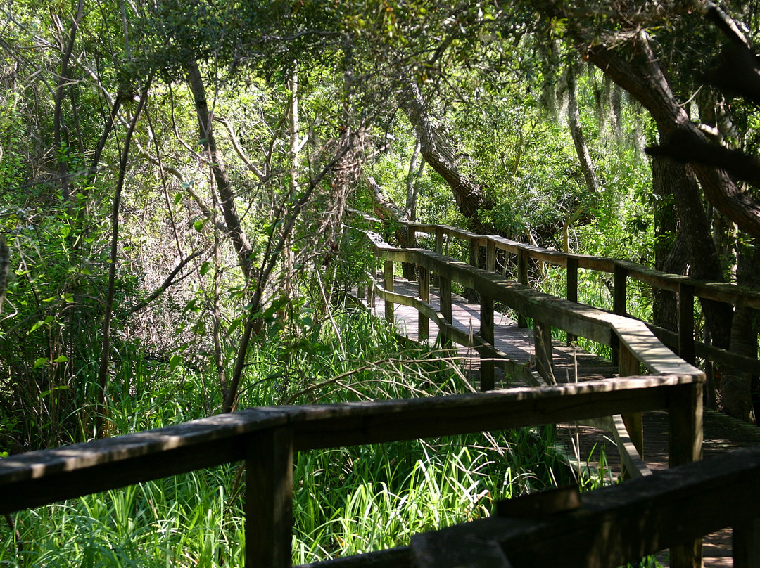 Sea Pines Forest Preserve景点图片