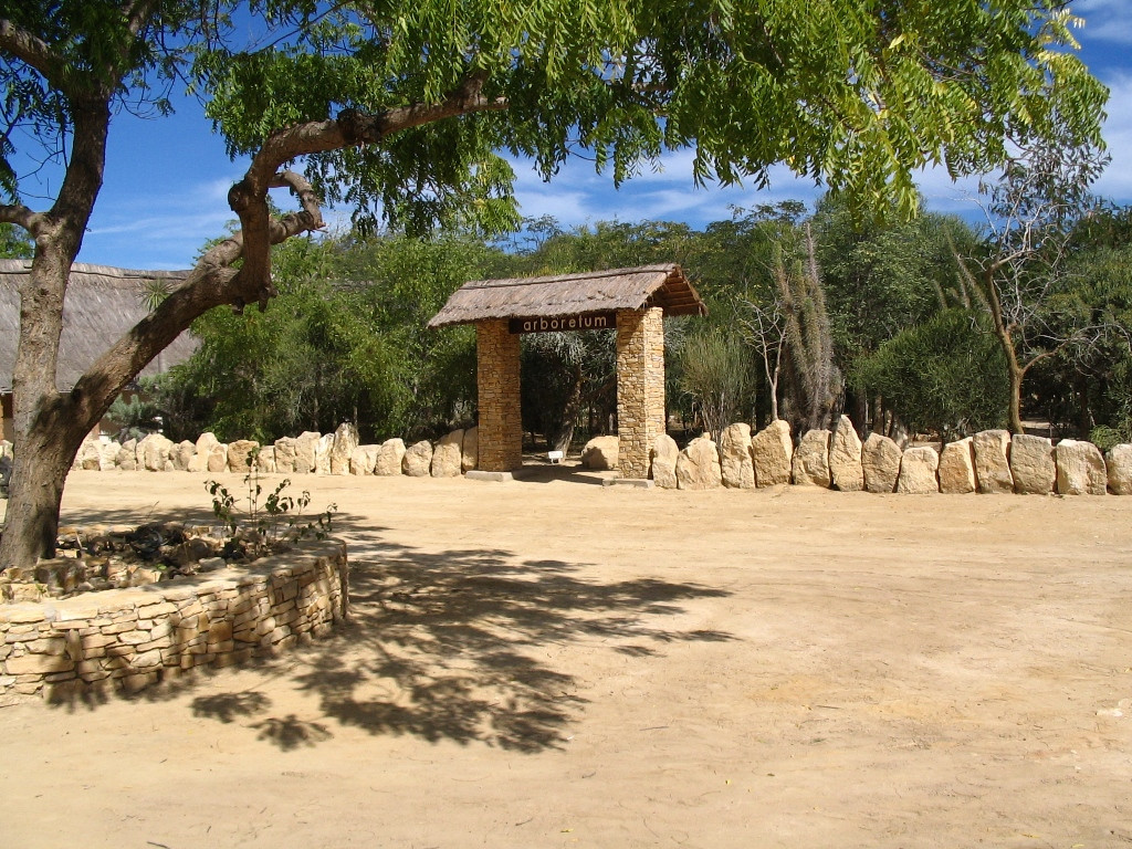 Antsokay Arboretum景点图片