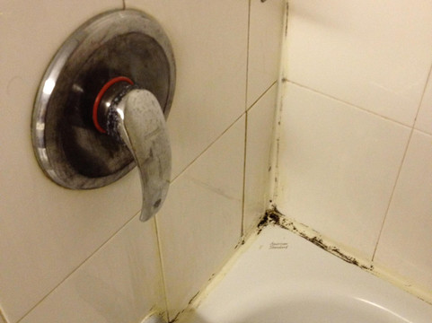 如家酒店·neo-上海新国际博览中心杨高南路地铁站店主图