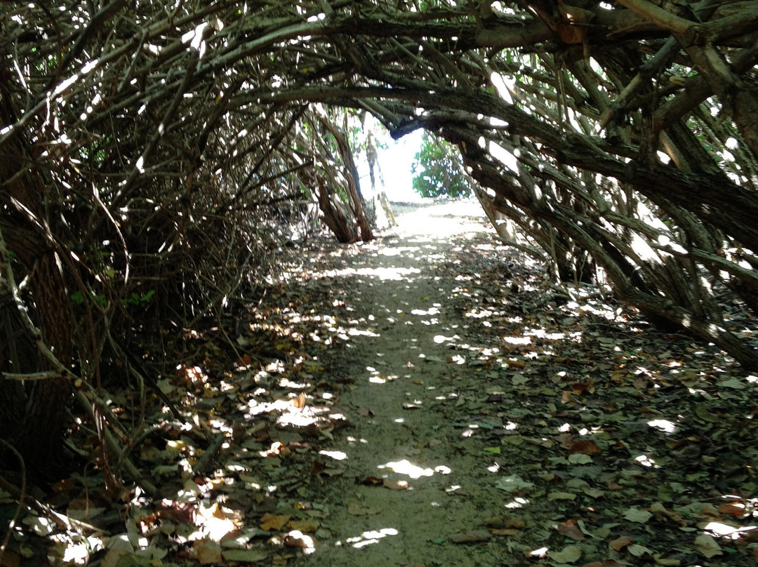 Shoy Beach-圣克鲁斯必去景点