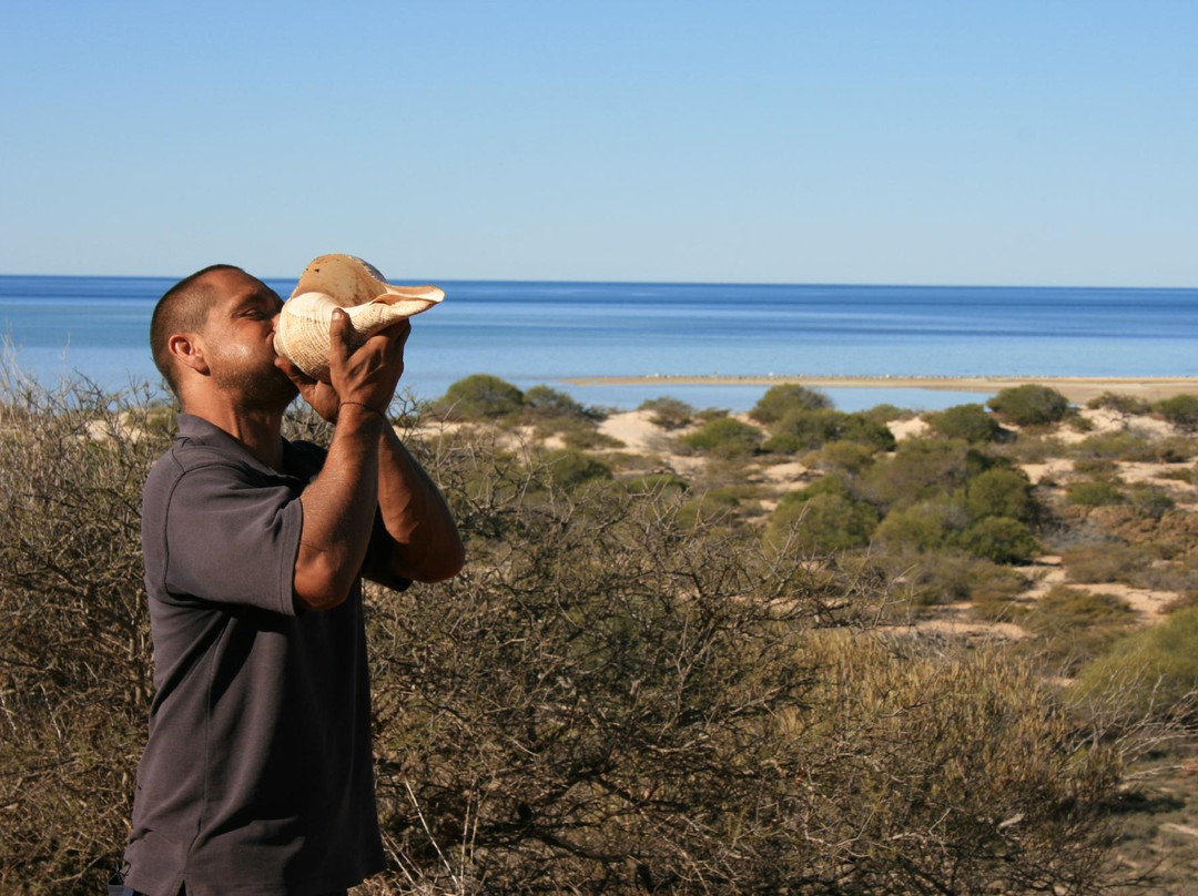 Wula Gura Nyinda Eco Adventures-德纳姆必去景点