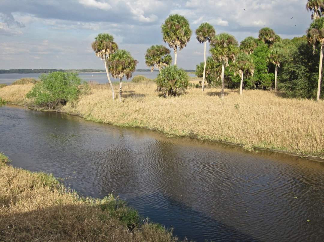 Myakka Canopy Walkway-萨拉索塔必去景点