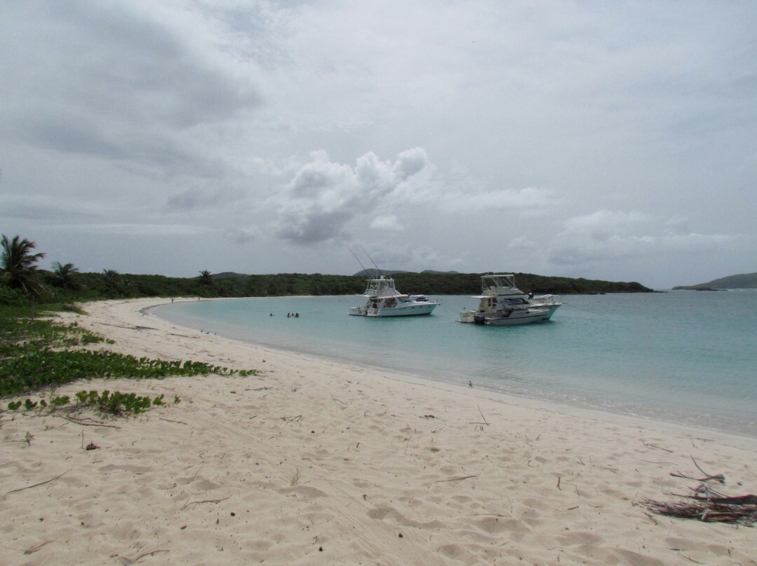 Culebrita-库莱布拉岛必去景点