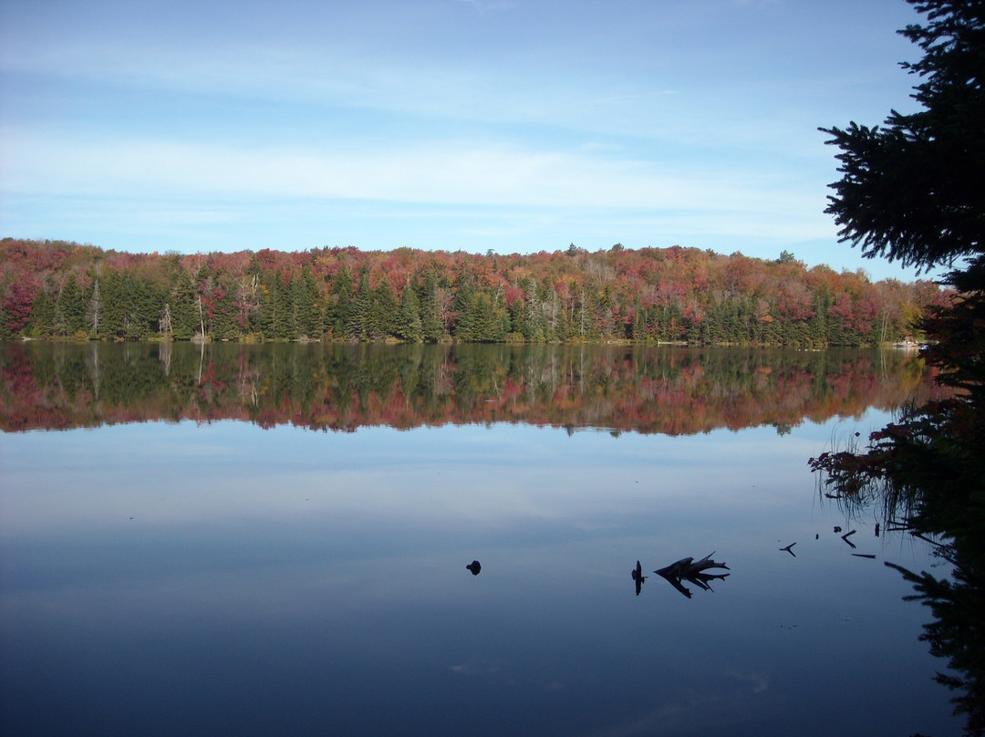 Woodford State Park-Woodford必去景点