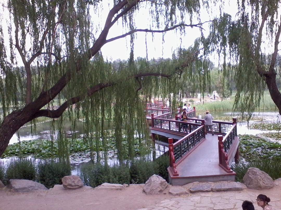 圆明园-北京市必去景点