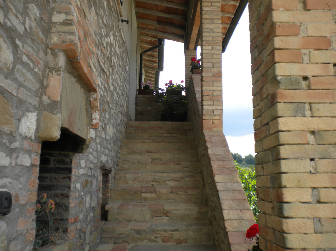 Agriturismo Fattoria di Rigone主图