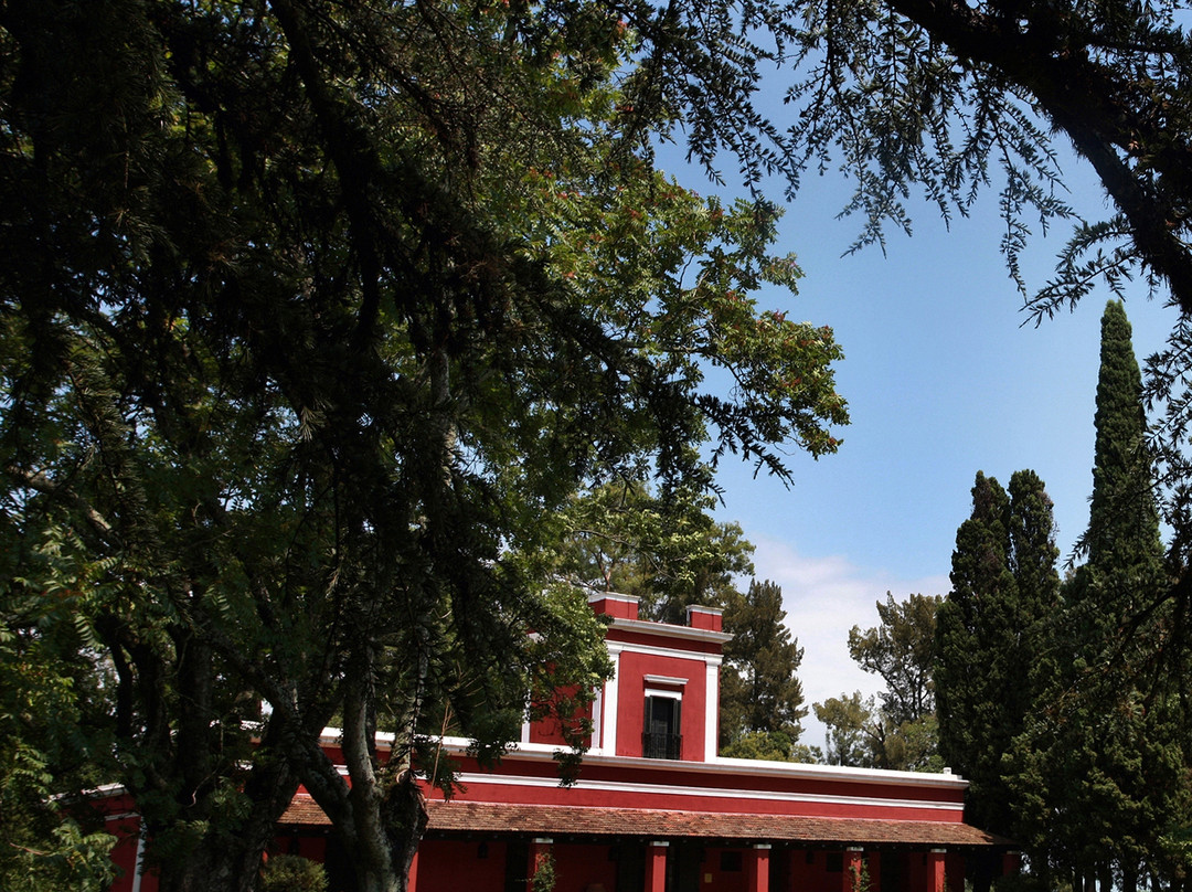 Estancia La Bamba de Areco