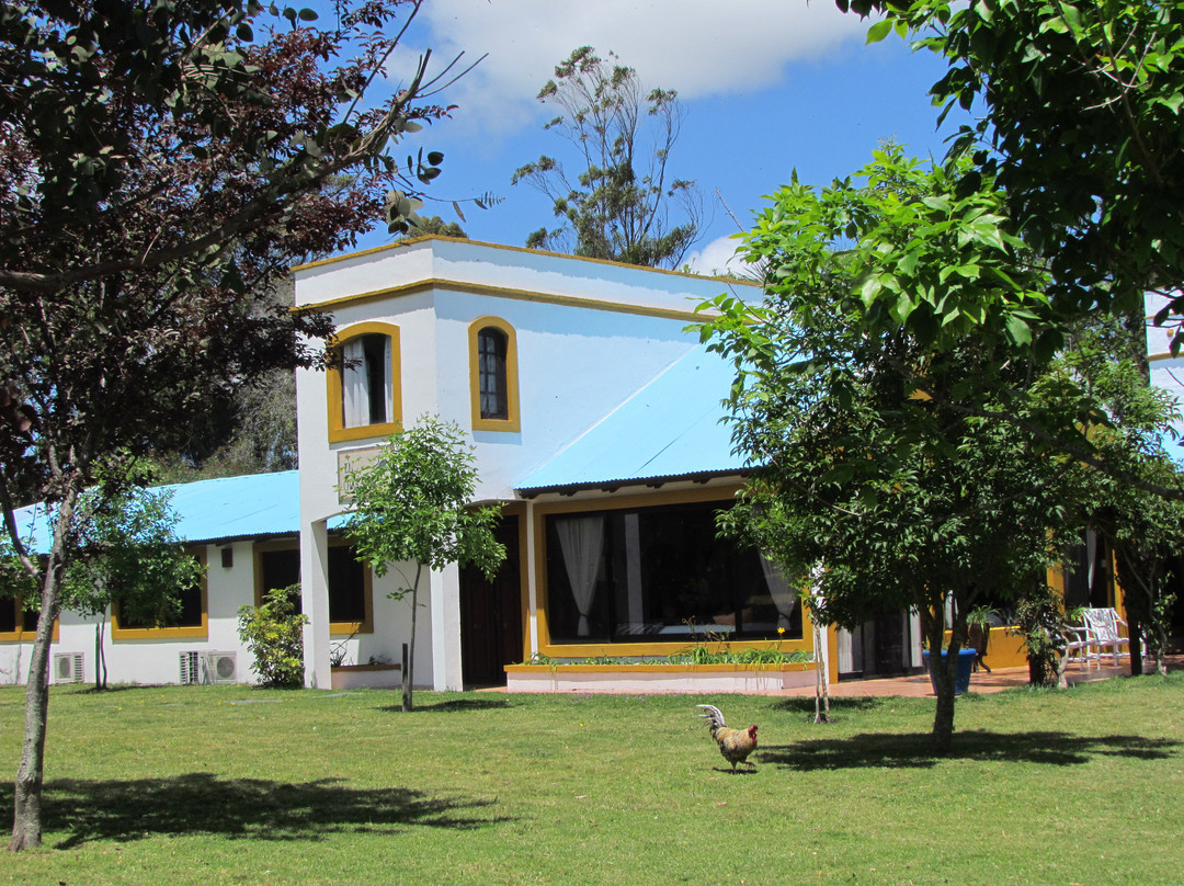 Rocha酒店住宿-El Charabon