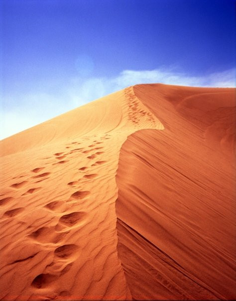 Imperial Sand Dunes-Niland必去景点