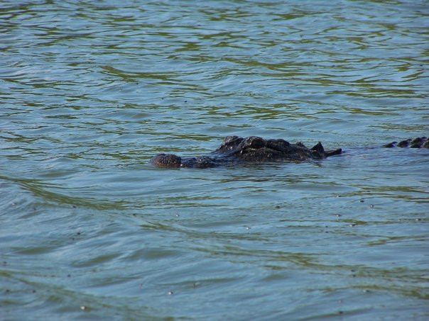 Eco Pond-大沼泽国家公园必去景点
