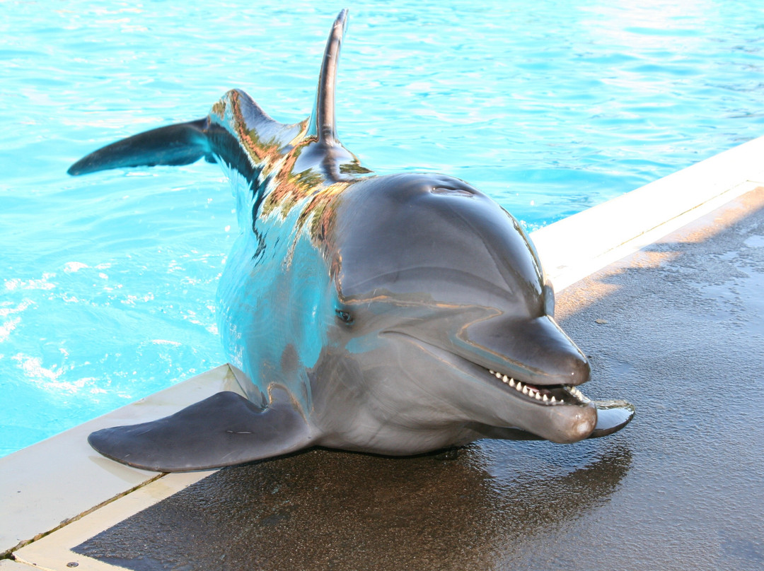 Vallarta Adventures-新瓦雅塔必去景点