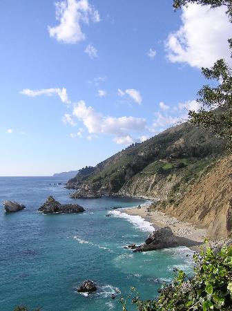 朱莉娅·菲佛·伯恩斯州立公园-大苏尔必去景点