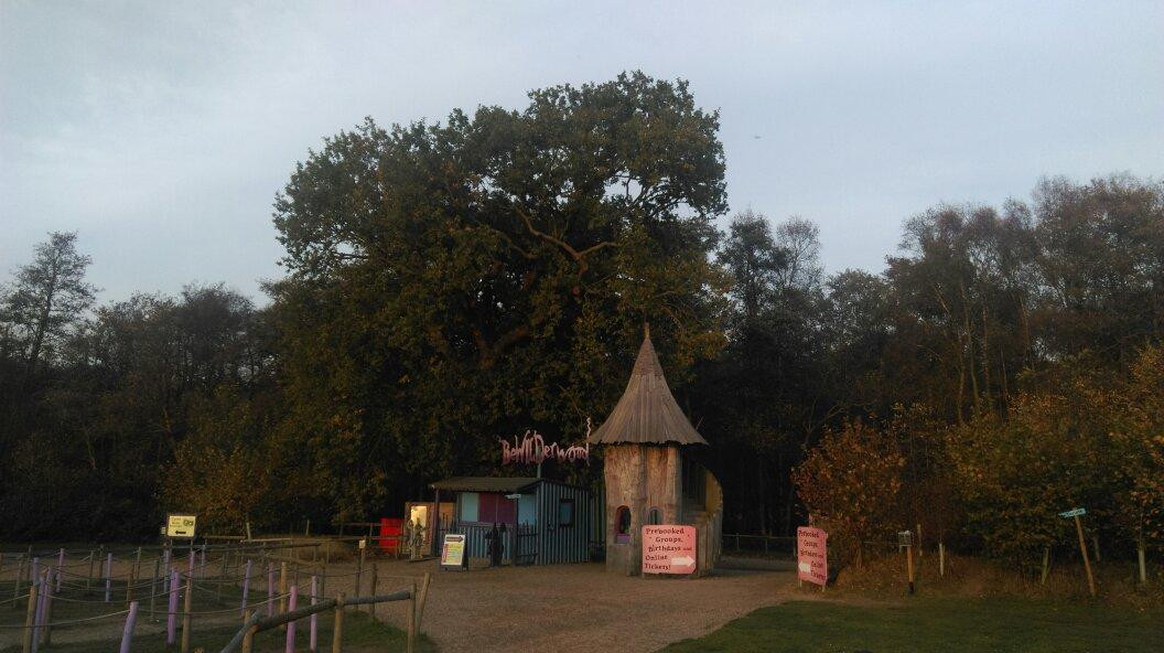 Bewilderwood Norfolk景点图片
