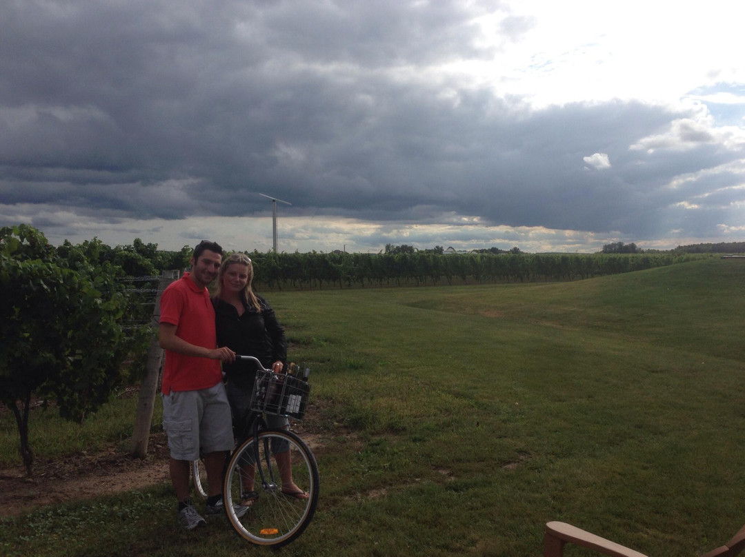 Cattail Creek Winery-滨湖尼亚加拉必去景点