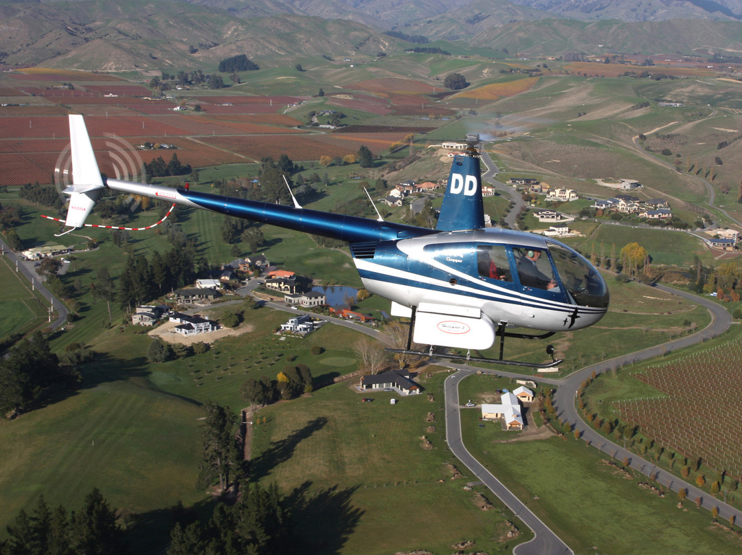 RidgeAir Fixed Wing Charters and Advanced Flight Training-布伦海姆必去景点