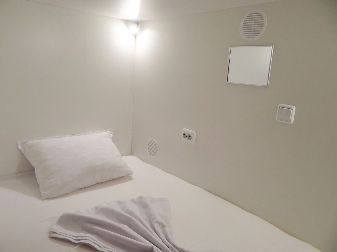 Hostel Zebra