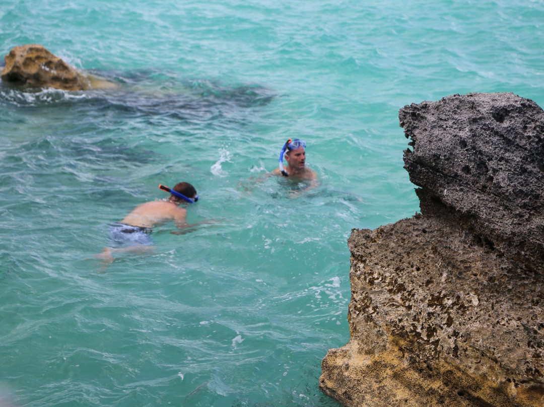 Willowbank Resort主图