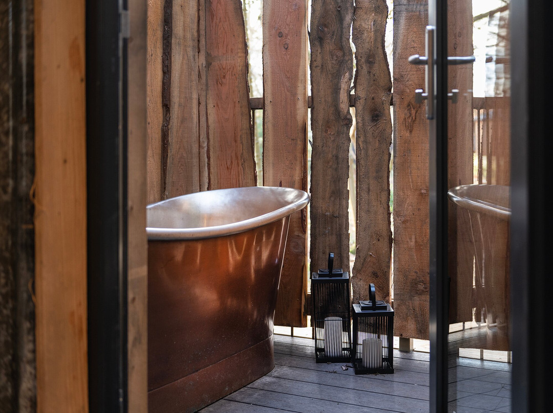 The Treehouses at Leckie主图
