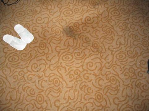 含光门大酒店-客卧