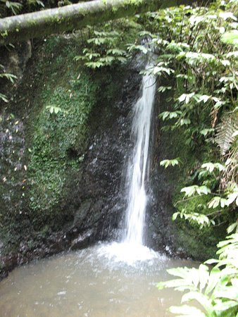 Waterworks Walk-Ngaruawahia必去景点