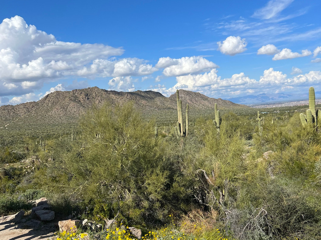 MD Ranch-Queen Creek必去景点