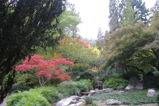 利西亚公园-阿什兰必去景点