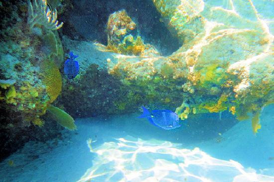 Devil's Bay National Park-维京果岛必去景点