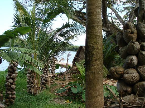 热带农场,澳洲坚果农场之旅-卡内奥赫必去景点