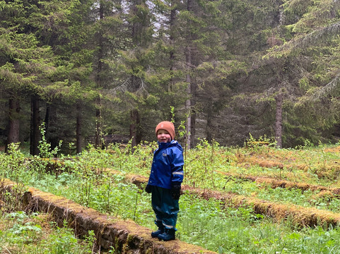 Krigsminner Evenestangen-Evenes必去景点