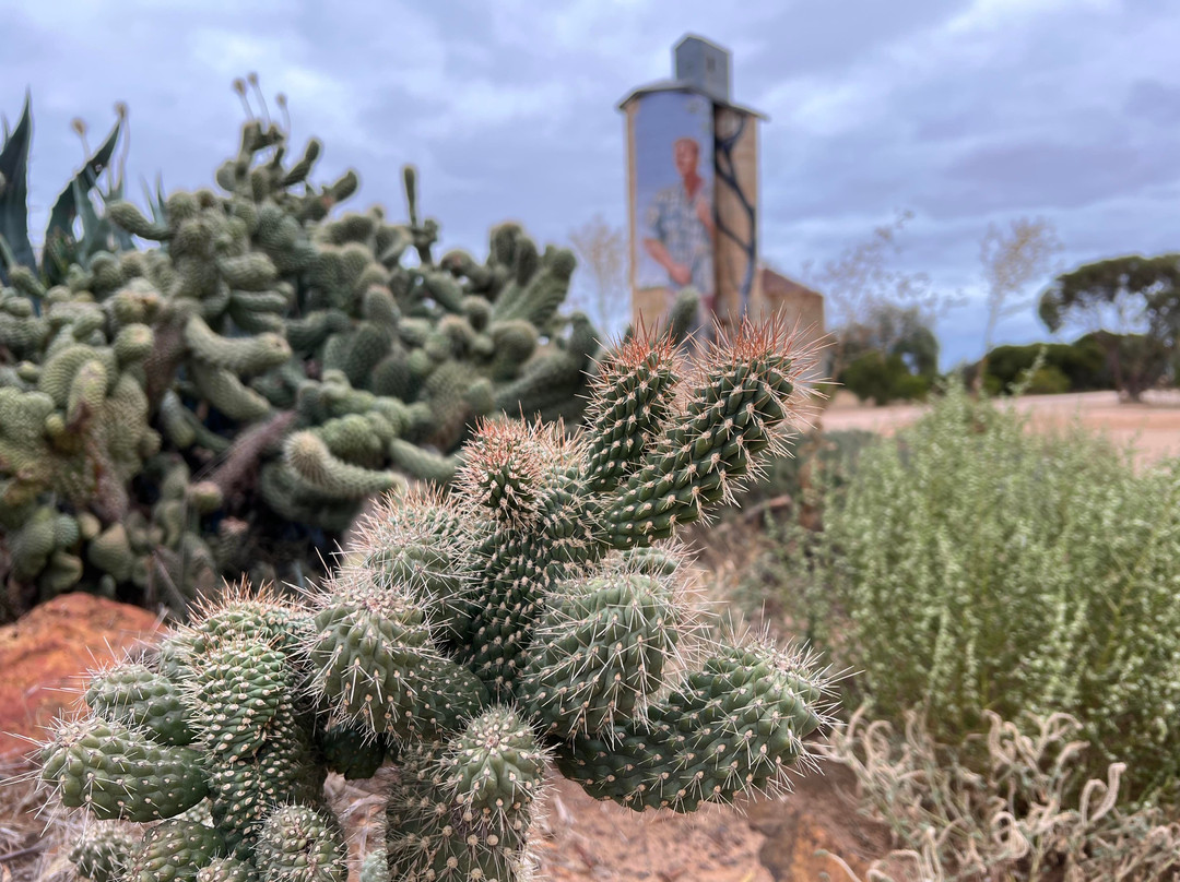 Silo Art Trail-Lascelles必去景点