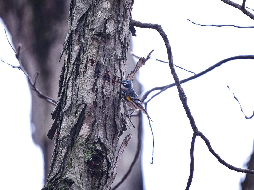 Little Red Schoolhouse-Willow Springs必去景点