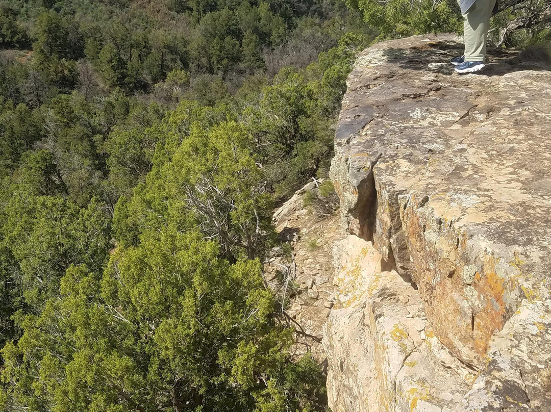 Canyons Of The Ancients National Monument-Pleasant View必去景点