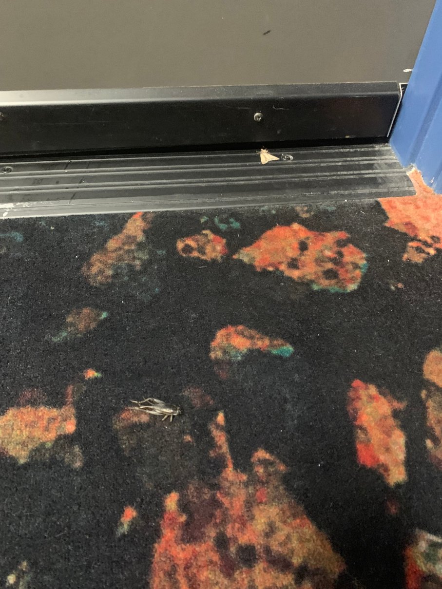 唐拉芙琳滨江度假酒店-官方