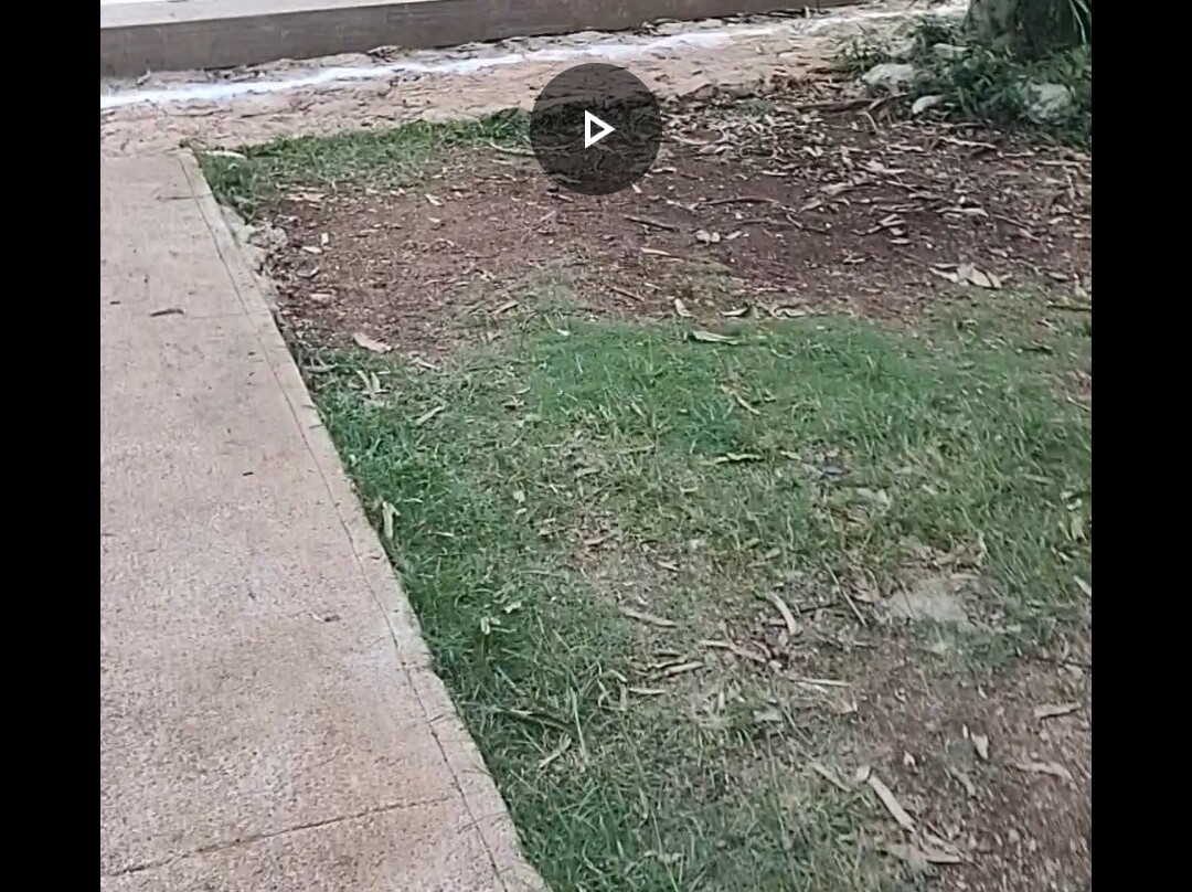 Hotel Boutique Cenote San Ignacio主图