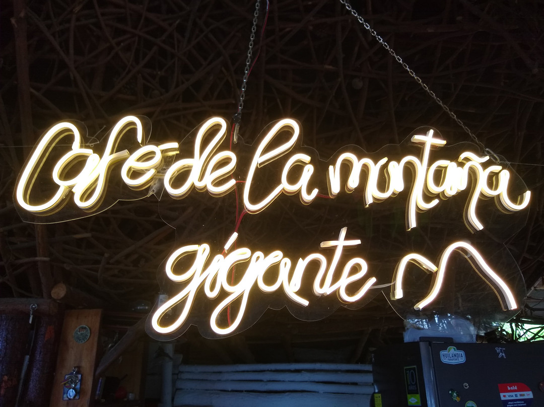 Ceiba de la Libertad-Gigante必去景点