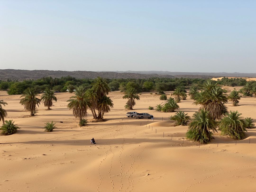 Mauritania Train Tour